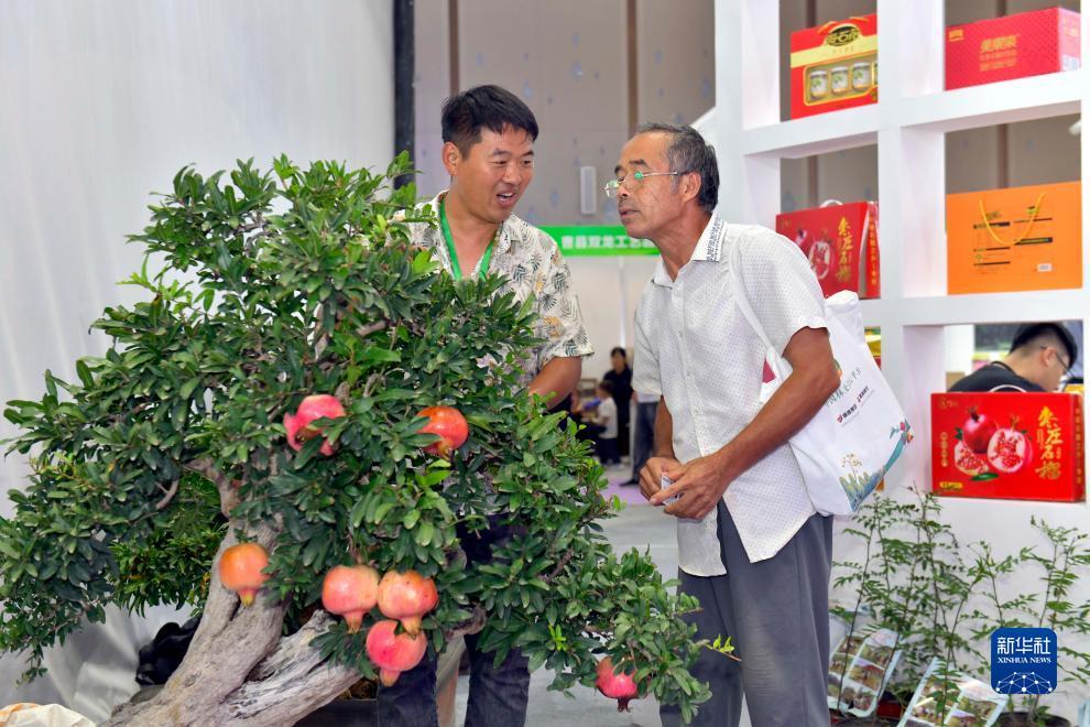 皇冠游戏盒